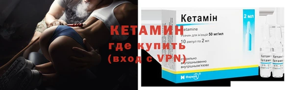 шишки Осинники