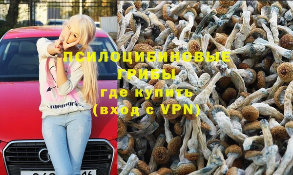 метамфетамин Алексин