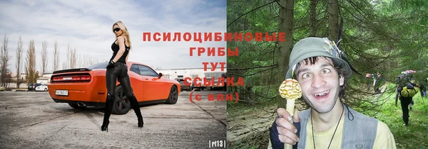 PSILOCYBIN Осташков