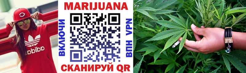 Шишки марихуана SATIVA & INDICA  где продают   Кувшиново 